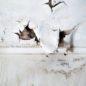 water damage on drywall