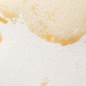 water stain on drywall